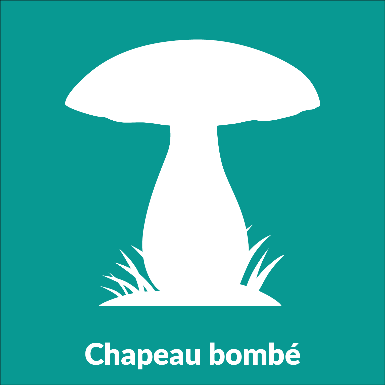 chapeau bombé