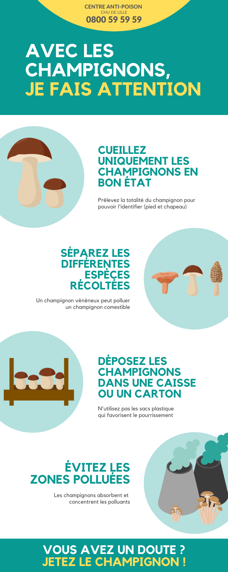 la cueillette des champignons