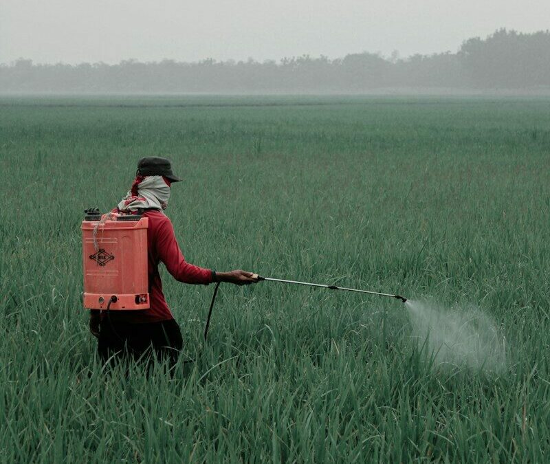 person in red shirt and black pants holding red box on green grass field during daytime