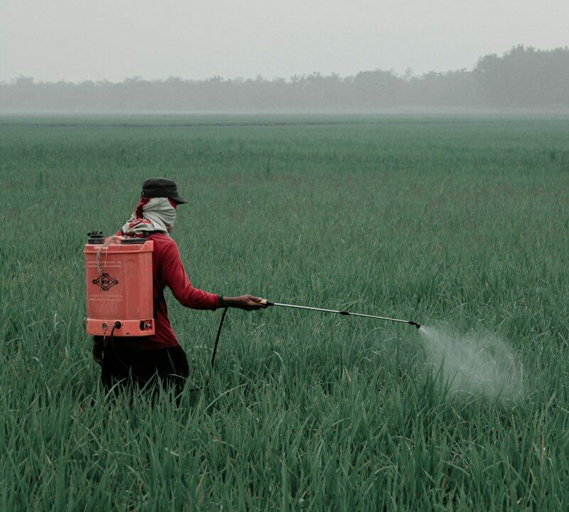 person in red shirt and black pants holding red box on green grass field during daytime